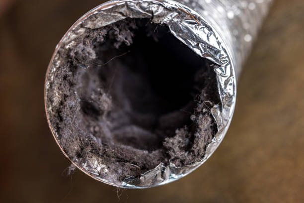 Best Air Duct Cleaning Near Me  in Medina, TN